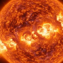 Stars — Everlasting Energy