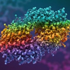 Protein Molecules