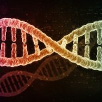 DNA - A Living Code