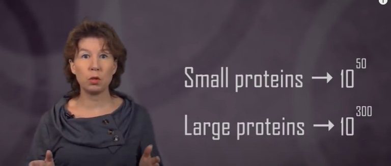 Theoretical Physicist Sabine Hossenfelder explains the complexity of proteins.
